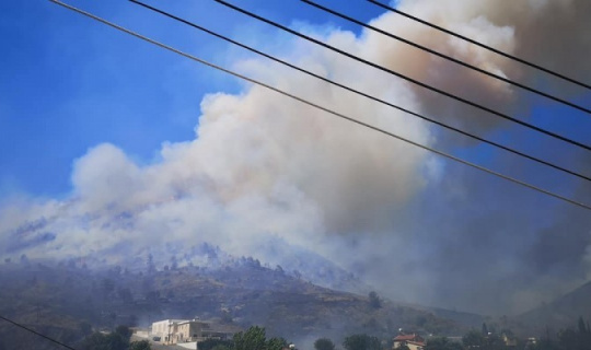Güney Kıbrıs’ta yangın paniği