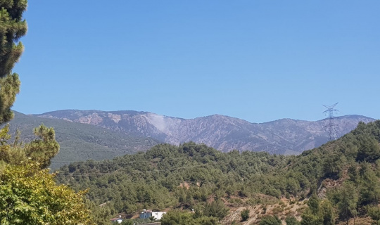 Hatay’da orman yangını Hatay’da orman yangını