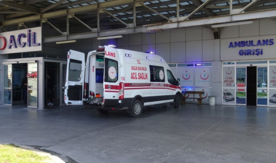 Ihlamur ağacından düşen yaşlı kadın ağır yaralandı Ihlamur ağacından düşen yaşlı kadın ağır yaralandı