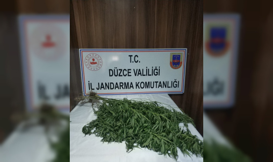 Jandarmadan uyuşturucu operasyonu Jandarmadan uyuşturucu operasyonu