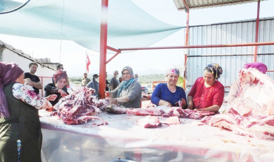 Kadın kasaplar erkeklere taş çıkarttı Kadın kasaplar erkeklere taş çıkarttı