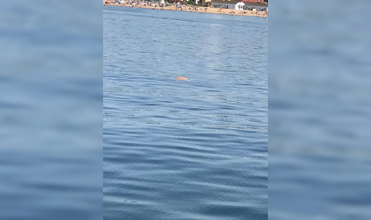 Kocaeli’de denizde erkek cesedi bulundu Kocaeli’de denizde erkek cesedi bulundu