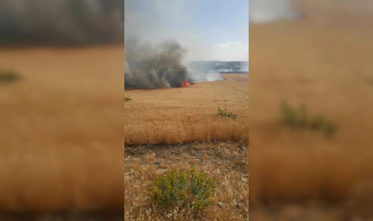 Kulp’ta 150 dönümlük buğday tarlası kül oldu Kulp’ta 150 dönümlük buğday tarlası kül oldu