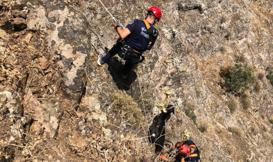 Manisa itfaiyesinden keçi operasyonu Manisa itfaiyesinden keçi operasyonu