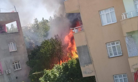 Siirt’te odunlukta çıkan yangın korkuttu: 3 çocuk dumandan etkilendi Siirt’te odunlukta çıkan yangın korkuttu: 3 çocuk dumandan etkilendi