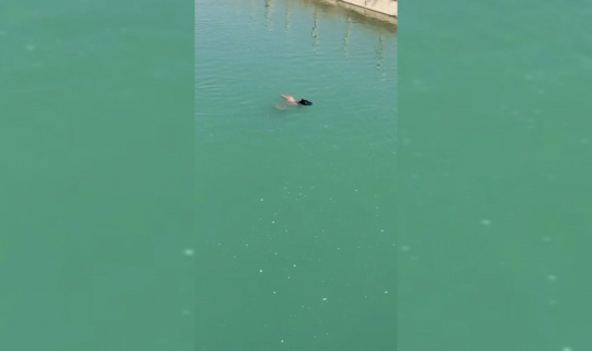 Sudaki genci çıkarmak için seferber oldular Sudaki genci çıkarmak için seferber oldular