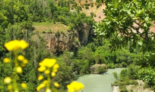 Tunceli Valiliği orman yangınlarına karşı uyardı Tunceli Valiliği orman yangınlarına karşı uyardı