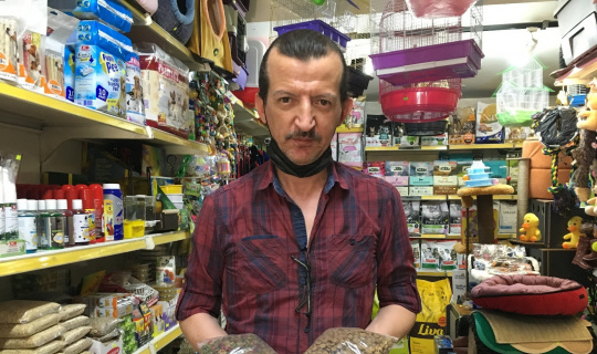 Ucuz kedi mamaları hayvan sağlığını tehdit ediyor Ucuz kedi mamaları hayvan sağlığını tehdit ediyor