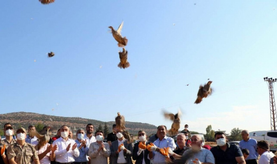 32 köyde 900 adet kınalı keklik doğaya bırakıldı 32 köyde 900 adet kınalı keklik doğaya bırakıldı