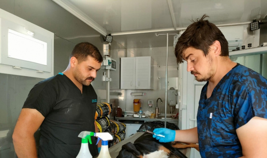 AFET bölgesindeki hayvanlar da unutulmadı