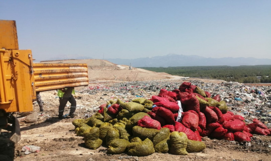 Antalya’da 4 ton kaçak midye ele geçirildi