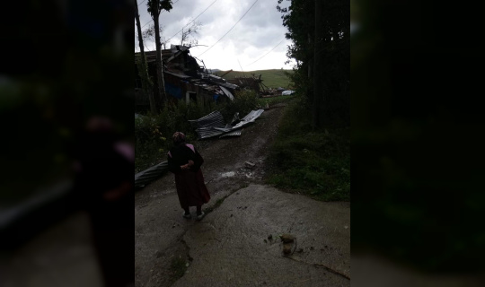 Artvin’de hortum evlerin ve ahırların çatısını uçurdu