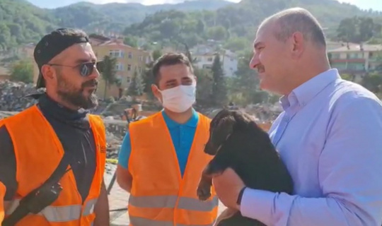 Bakan Soylu, anne köpeğin ekipleri yönlendirmesi sonucu kurtarılan köpeğe ‘Bozkurt’ ismini verdi