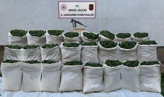 Bingöl’de 665 kilo esrar, 10 bin kök kenevir ele geçirildi Bingöl’de 665 kilo esrar, 10 bin kök kenevir ele geçirildi