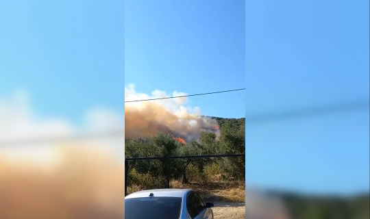 Bursa’da ikinci orman yangını Bursa’da ikinci orman yangını