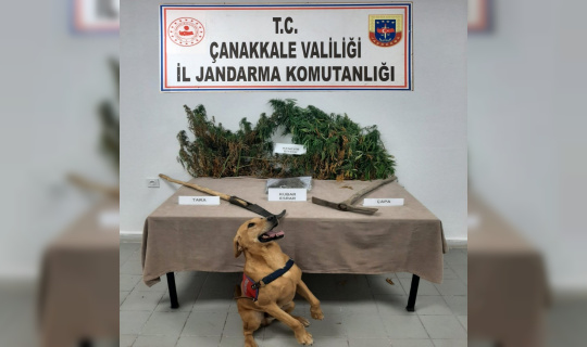 Çanakkale’de uyuşturucu operasyonu Çanakkale’de uyuşturucu operasyonu