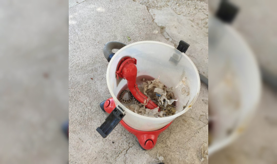 Elektrikli süpürgeden yılan çıktı