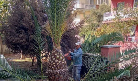 Köşk Belediyesi okulları yüz yüze eğitime hazırlıyor Köşk Belediyesi okulları yüz yüze eğitime hazırlıyor