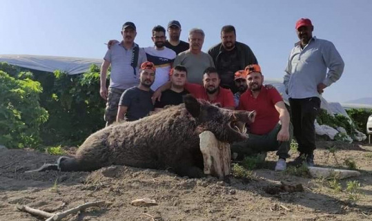 Mısır üreticisi Kocabaş canavarından kurtuldu Mısır üreticisi Kocabaş canavarından kurtuldu