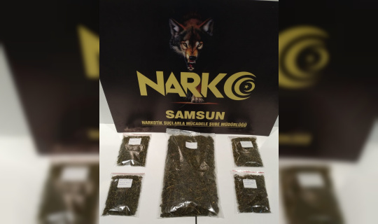 Samsun’da metruk binada 5 paket bonzai ele geçirildi: 1 gözaltı