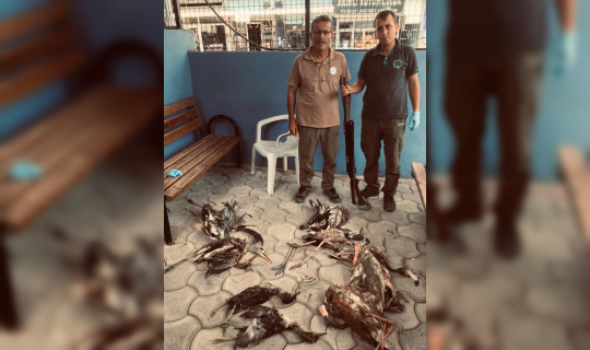 Yaban hayvanlarını avlayan kişiye 28 bin 491 lira ceza Yaban hayvanlarını avlayan kişiye 28 bin 491 lira ceza