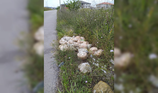 Yol kenarına dökülen bozuk turşular mahallenin kabusu oldu Yol kenarına dökülen bozuk turşular mahallenin kabusu oldu