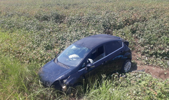 Yoldan çıkan otomobil pamuk tarlasına uçtu: 2 yaralı Yoldan çıkan otomobil pamuk tarlasına uçtu: 2 yaralı