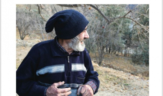 Halim amcanın ağaçları da onunla birlikte yeni yaşam alanına taşındı