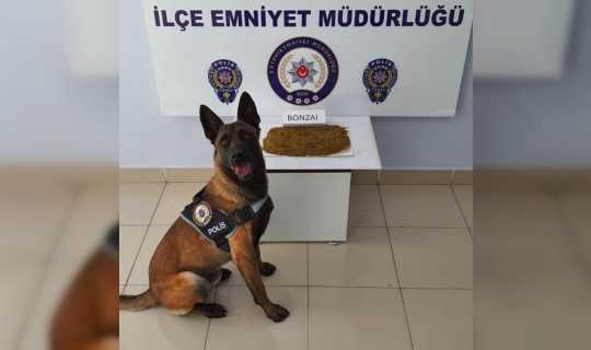 Simav’da uyuşturucu operasyonu Simav’da uyuşturucu operasyonu