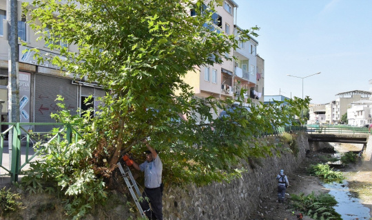 Yıldırım’ın dereleri temizleniyor
