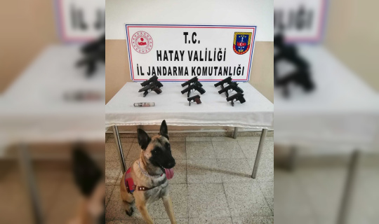 Hatay’da traktörün römorkunda 8 kaçak silah ele geçirildi Hatay’da traktörün römorkunda 8 kaçak silah ele geçirildi