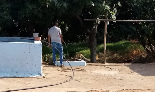 ‘Kızım’ diye seslendiği tilkiyi besledi ‘Kızım’ diye seslendiği tilkiyi besledi