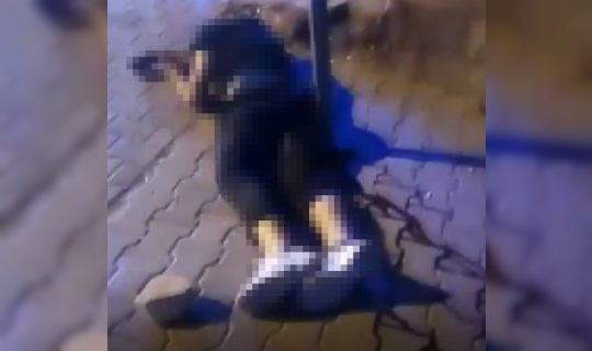 Önce bıçaklandı, sonra kafasına taşla vurularak öldürüldü