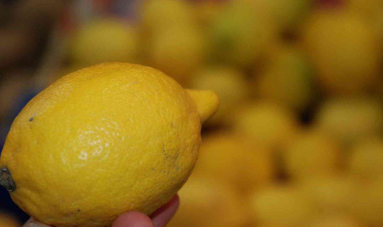 Soğuk algınlığına karşı limon