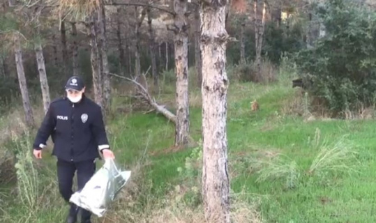 Sultangazi’de polis ekipleri sokak hayvanlarını elleriyle besledi