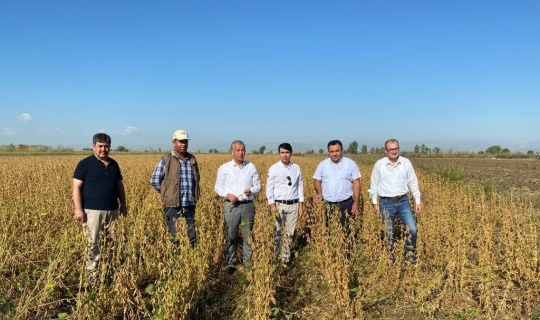 Tarsus’ta yerli soya çeşidi ‘Samsoy’un hasadı yapıldı