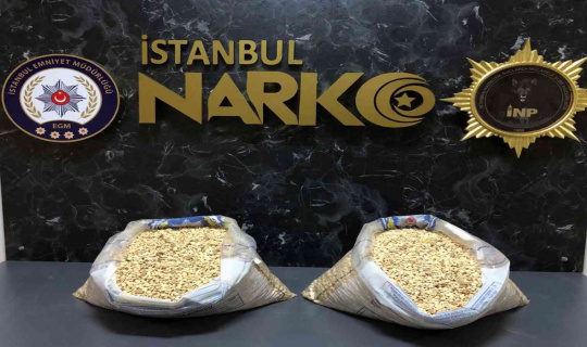 İstanbul’da uyuşturucu operasyonları: 100 bin hap ve 57 kilo kenevir ele geçirildi