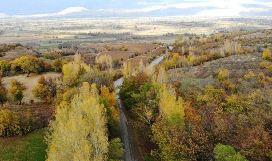 Sonbahardan kışa geçişte renk cümbüşü oluşturan ağaçlar farklı güzelliğe büründü