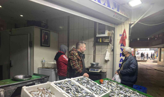 Hamsi ve palamudun yerini istavrit aldı, kilosu 25 liradan alıcı buldu Hamsi ve palamudun yerini istavrit aldı, kilosu 25 liradan alıcı buldu