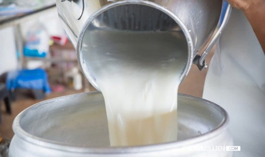 Çiğ Süte Zam Geldi Sırada Süt Ürünleri Var