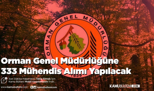 Orman Genel Müdürlüğüne 333 Mühendis Alımı Yapılacak