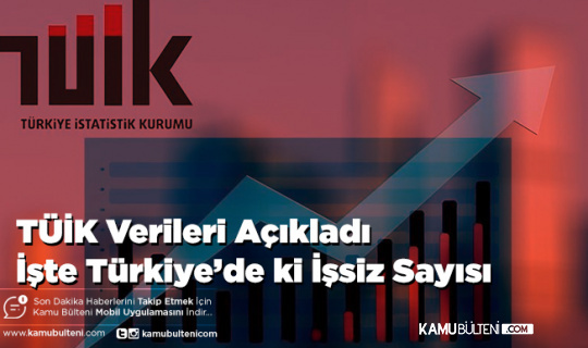 TÜİK Verileri Açıkladı İşte Türkiye’de ki İşsiz Sayısı