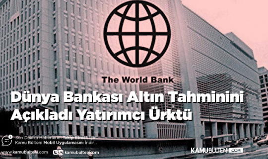 Dünya Bankası Altın Tahminini Açıkladı Yatırımcı Ürktü