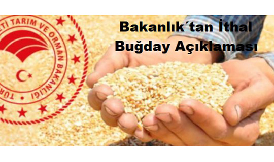 Bakanlıktan “İthal Buğday” İddialarına Yanıt Geldi