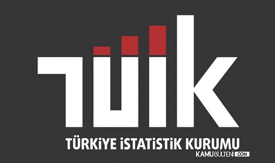 TÜİK'te Kritik Göreve Yeni İsim Atandı