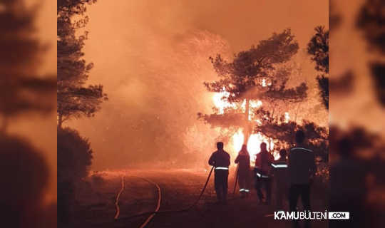 Marmaris’te Yangın Sönmüyor Havadan ve Karadan Müdahale