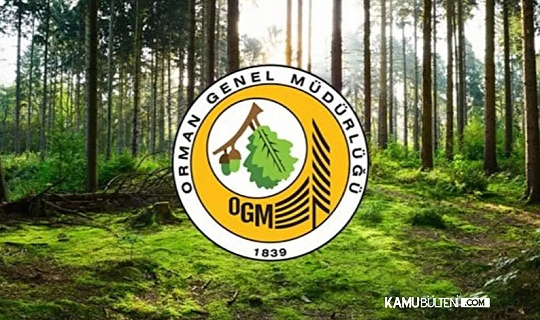 Orman Genel Müdürlüğü OGM 350 Personel Alımı Yapacak