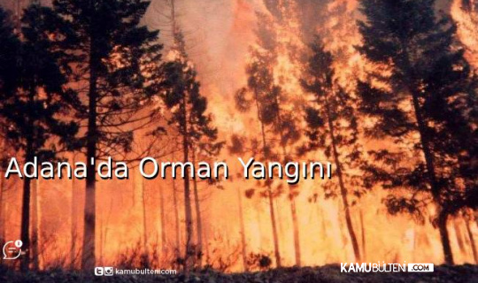 Adana'da Orman Yangını Adana'da Orman Yangını