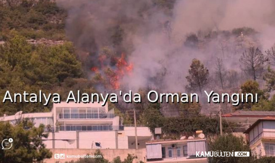Antalya Alanya'da Orman Yangını