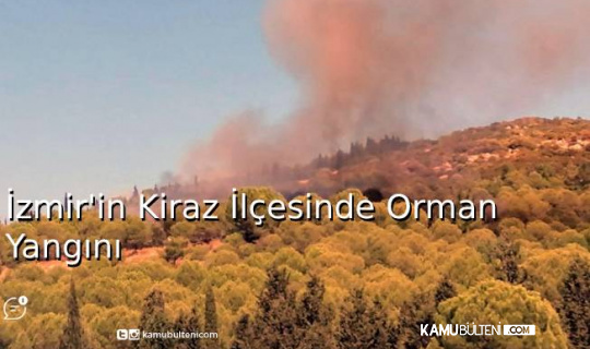 İzmir’in Kiraz İlçesinde Orman Yangını